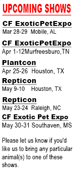 Show Schedule (image for) Show Schedule