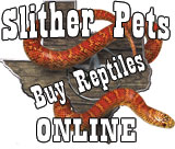 Slither Pets (image for) Slither Pets